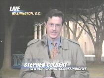 Stephen Colbert : "Senior" Senior Correspondent