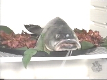 I'm Gilly The Fish!